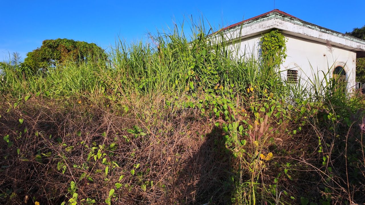 What Happened to This House? Abandoned for 5 Years and Forgotten by Time