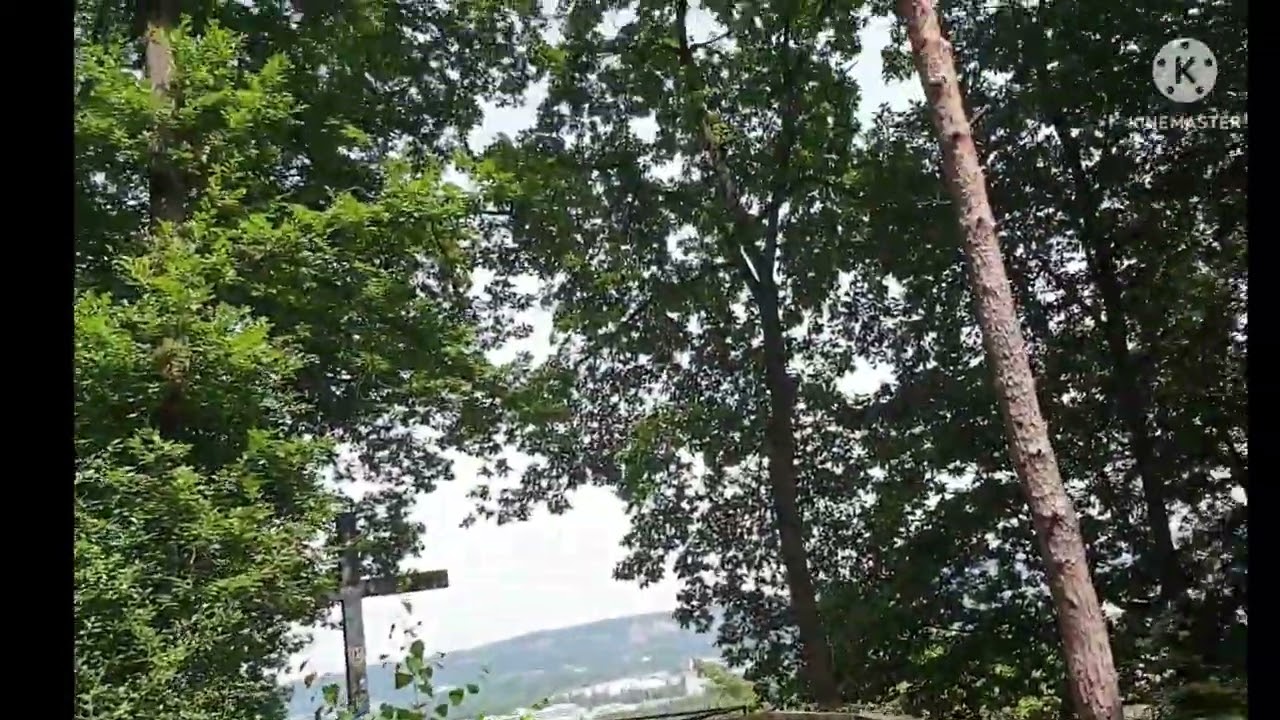 Paseo solitario en la naturaleza