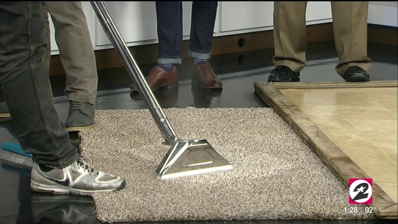 Dirt Free Carpet