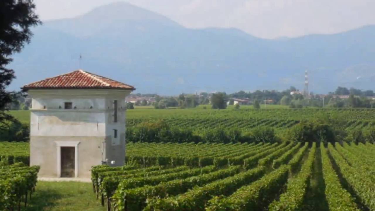Cosa Vedere a Borgonato  in Corte Franca
