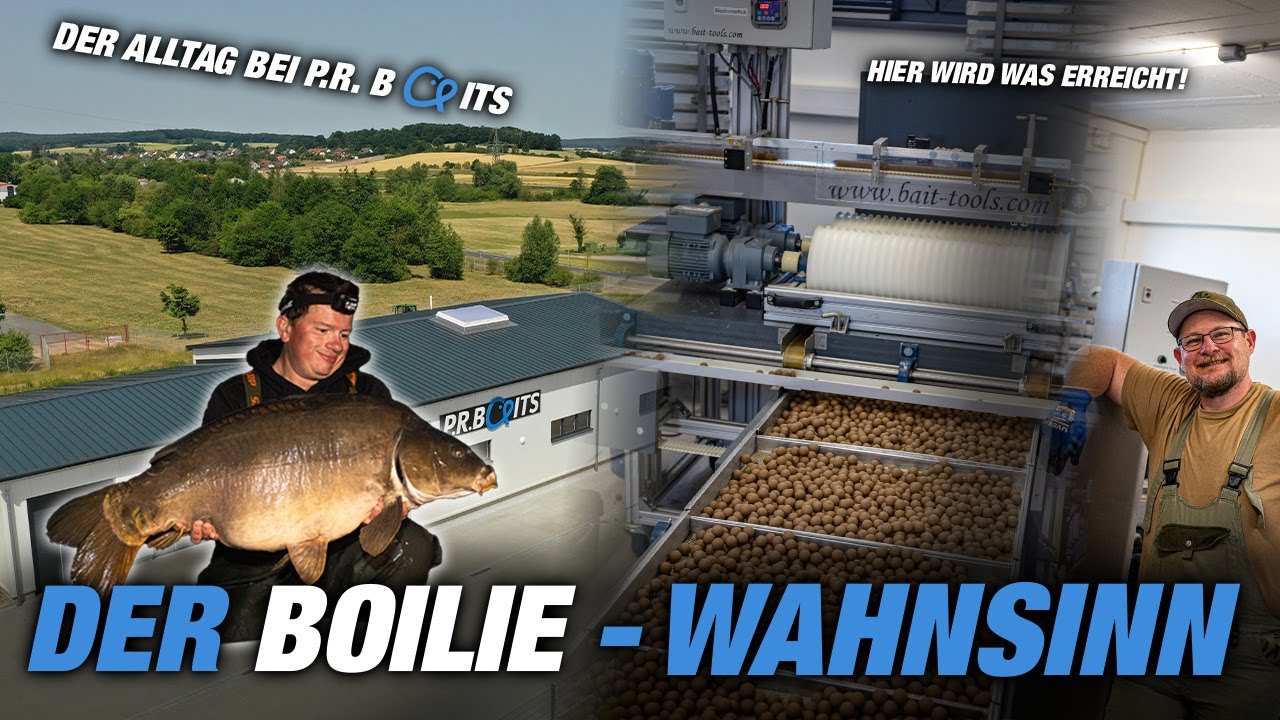 Der Boilie-Wahnsinn 🤯 | Der Alltag bei P.R. Baits👨‍🍳 | Dicke Karpfen nach Feierabend | Gewinnspiel 🏆