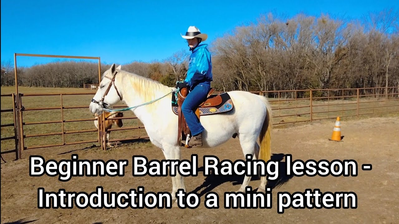 Beginner Barrel Racing Lesson - Introduction to a mini pattern at a walk  and trot