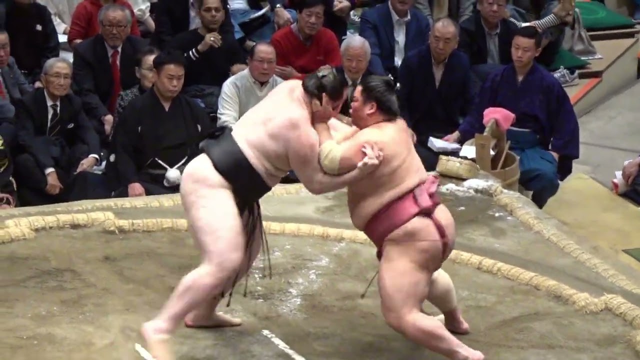 大栄翔 vs 獅司【大相撲令和8年1月場所】15日目 初場所 [JAN 2026 DAY15] 2026/01/25