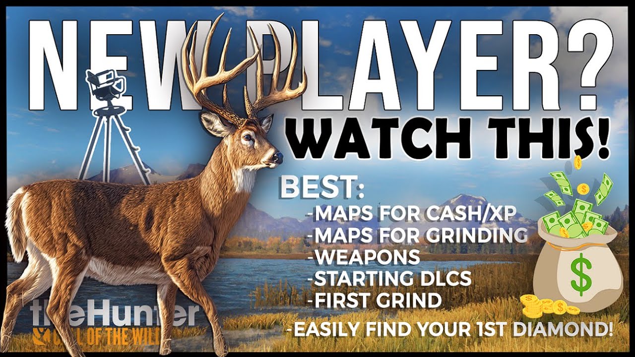 New Player? Watch This First! – Essential Tips in TheHunter: Call of the Wild