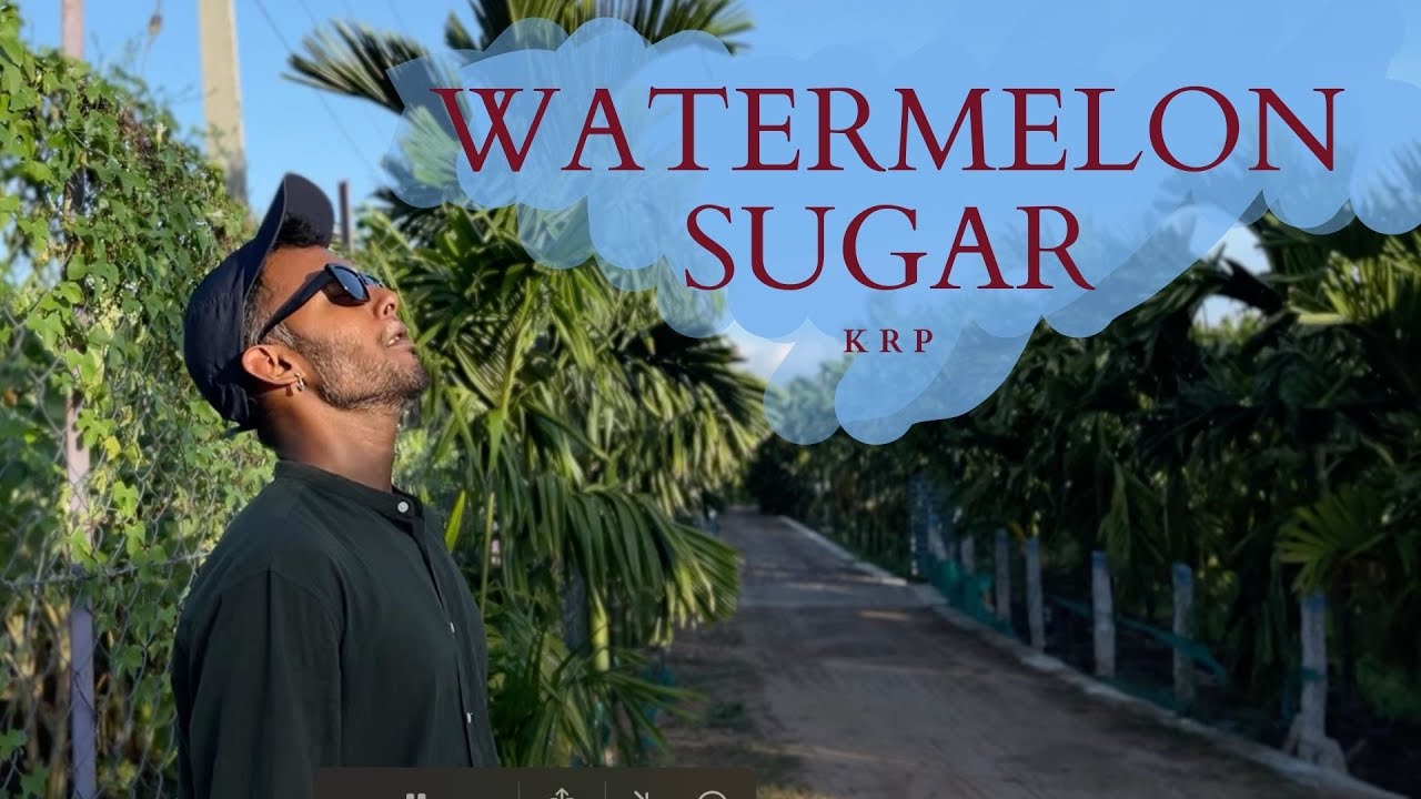 Water melon sugar (Indian Version) | #harrystyles
