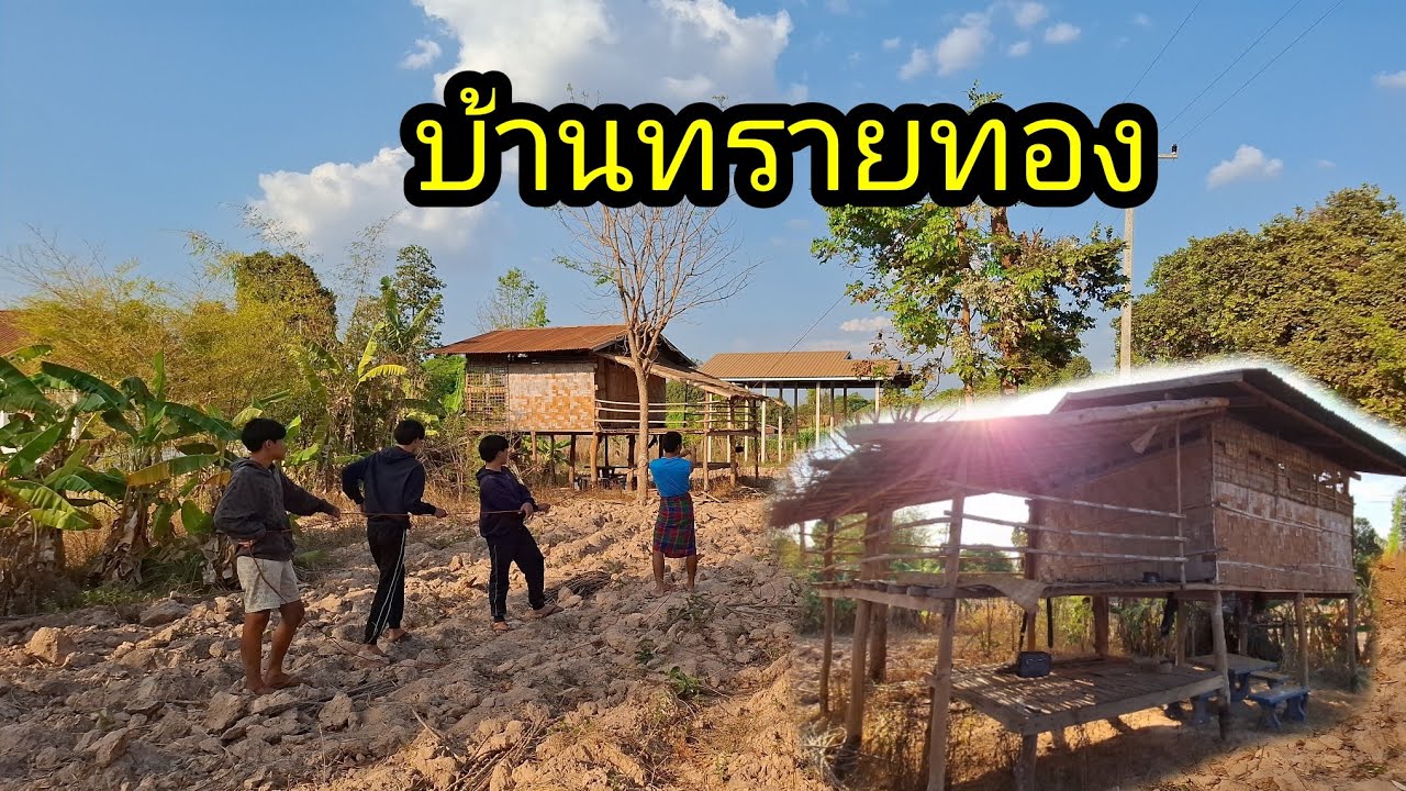 Ep: 1349 เจ๊ตุ๋ยตุ่ยให้บ่าวต๋อมมาตัดต้นไม้ออกจากหน้าบ้านทรายทอง