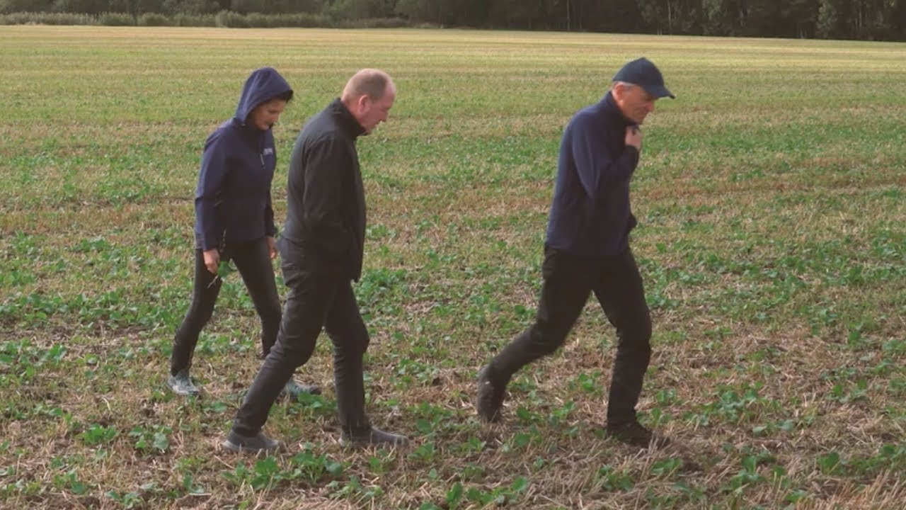 Svečiuose pas Kėdainių ir Panevėžio rajono ūkininkus. Pakalbėkime apie rapsų laukų priežiūrą.