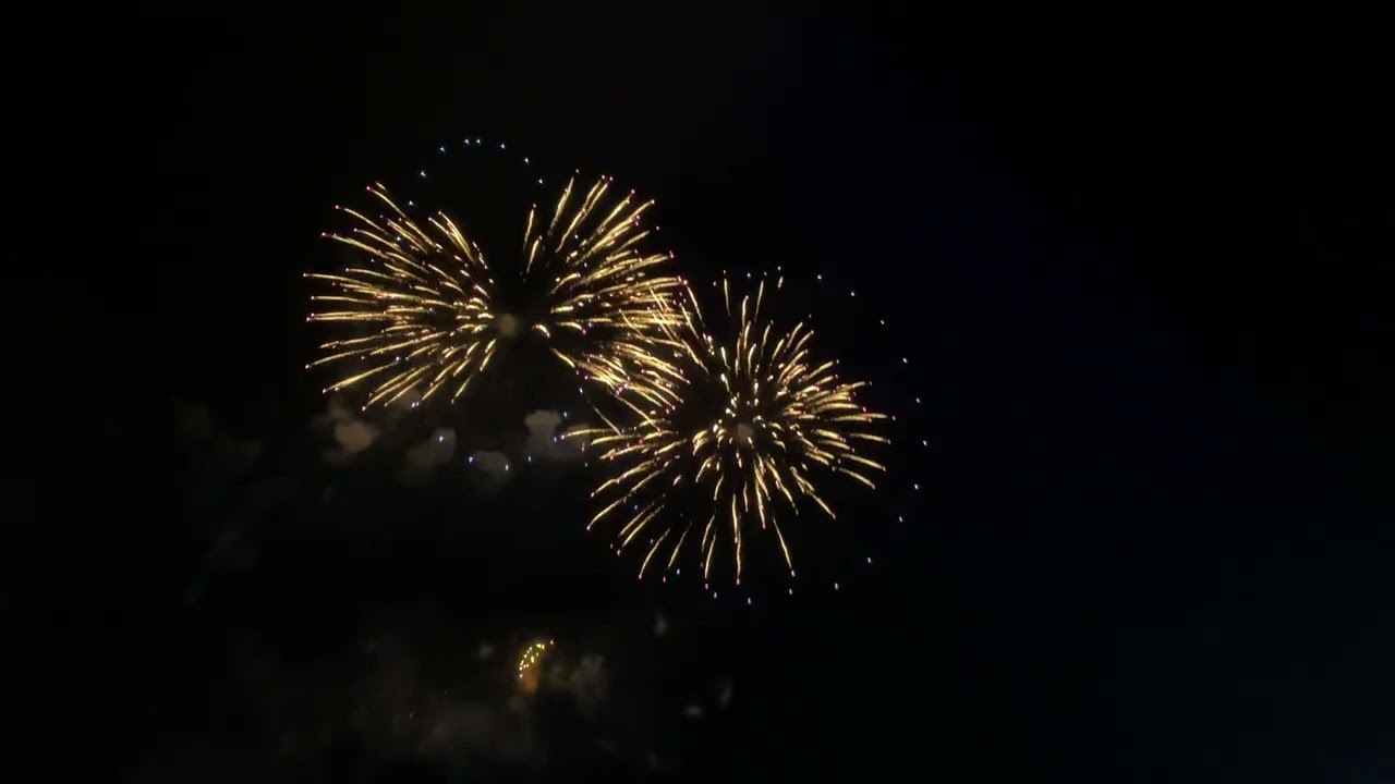 Lễ hội Hoa ban Điện Biên 2026 quá tuyệt vời 😍
