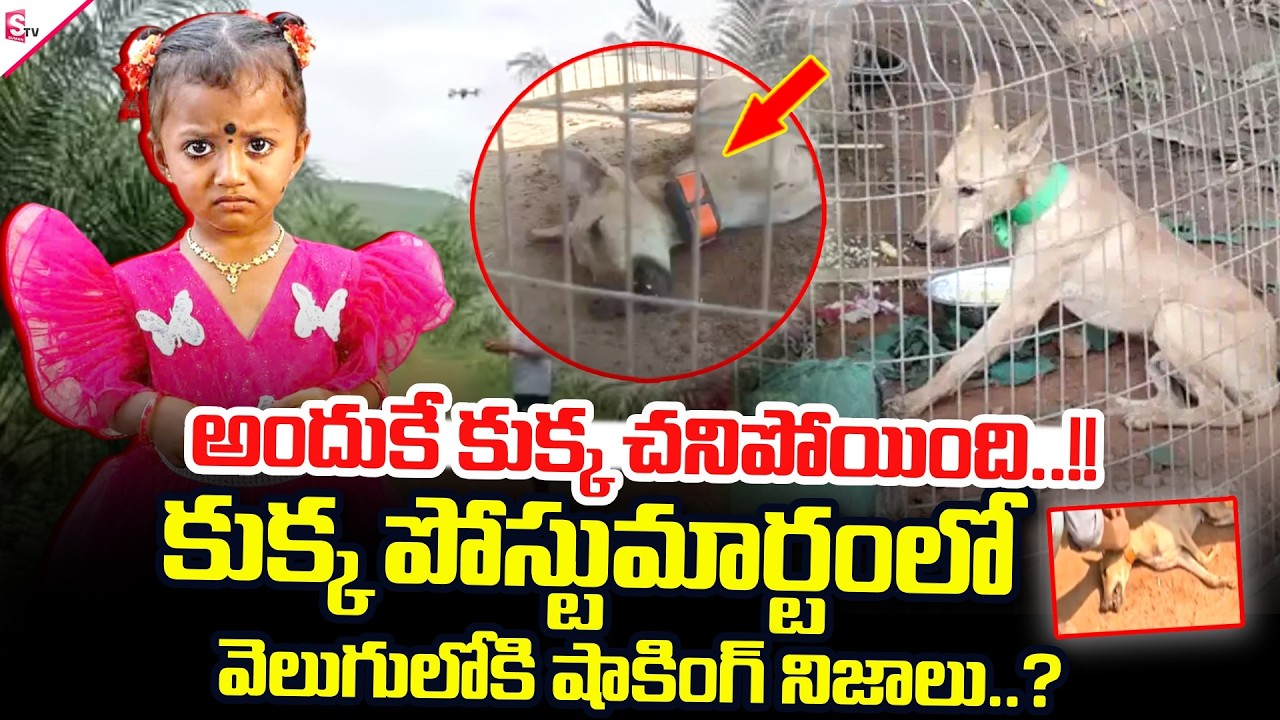 LIVE🔴:కుక్కకు పో_స్టుమా_ర్టం.. | Big Twist In Kakinada Jahnavi Missing | SumanTV Sai