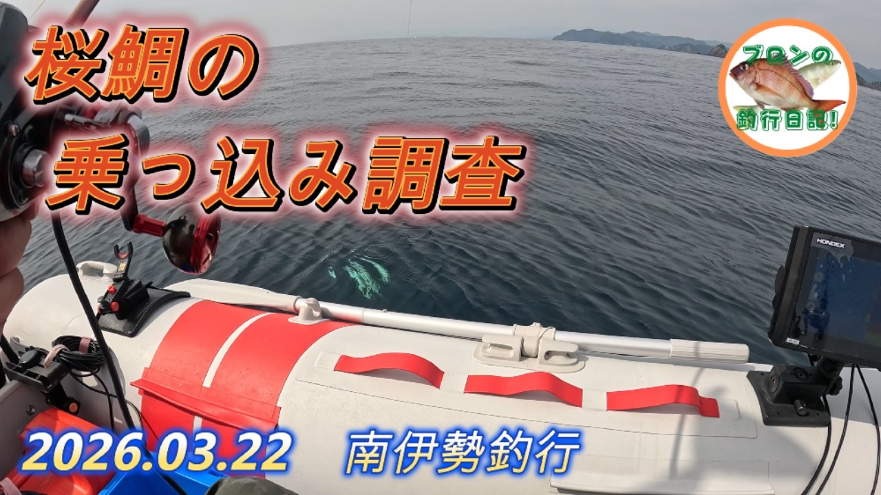 2026.03.22 南伊勢釣行 桜鯛の乗っ込み調査でレインボーな魚が釣れた！