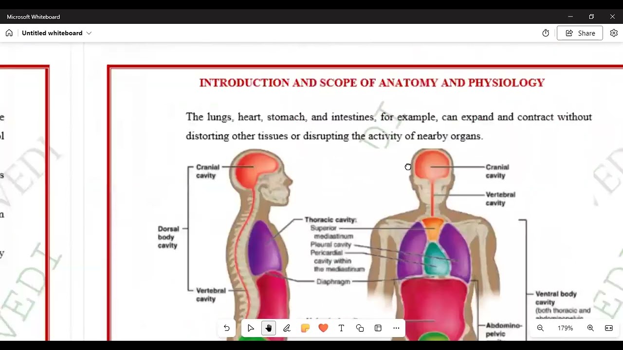 Medical practice N4 Module 1 physiology and anatomy