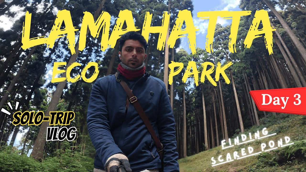 Exploring Lamhata Eco Park on My Own | Hidden Gem of Darjeeling #darjeeling #lamhata