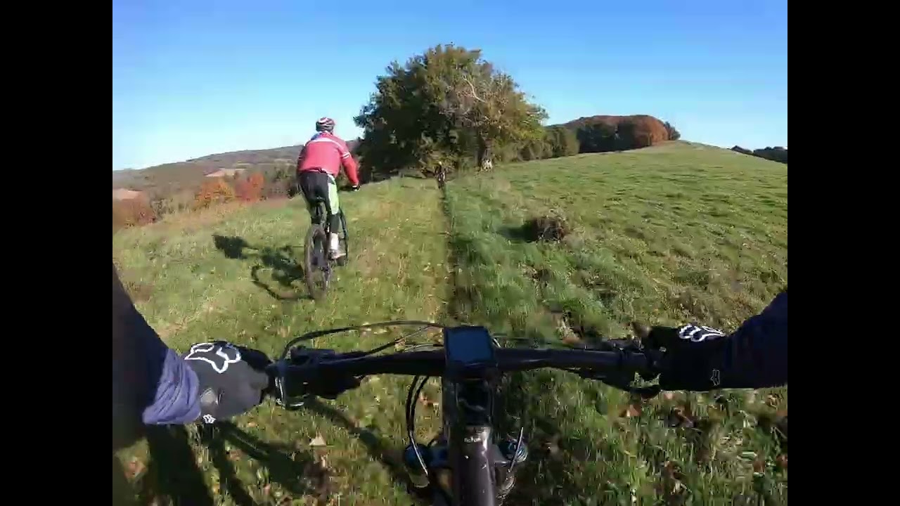 VTT