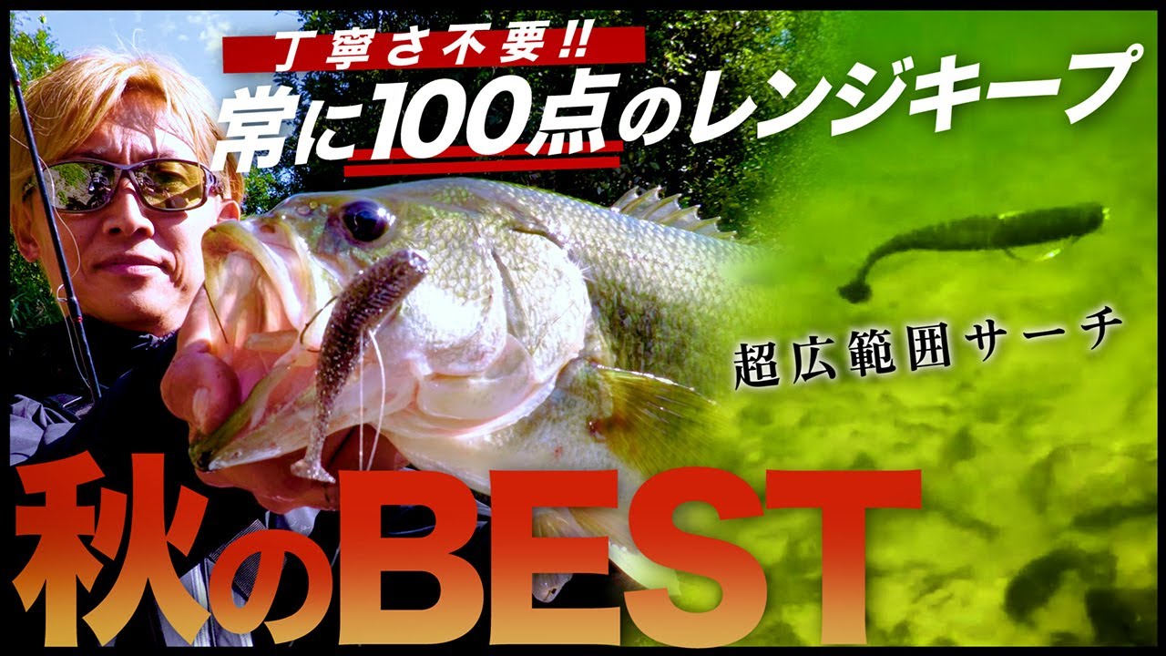 【秋のBEST】ブっ飛ぶ 