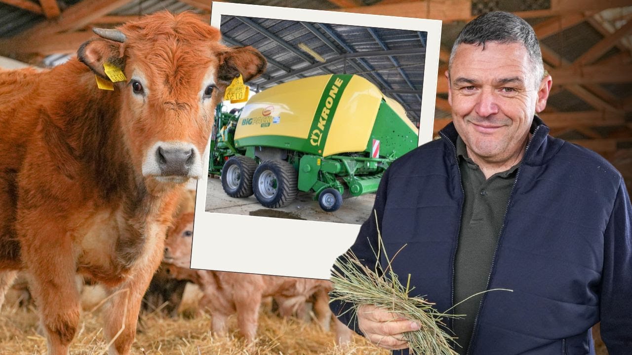 În ferma de Aubrac din Bruiu se produc 300-400 baloți pe zi cu utilajele Krone