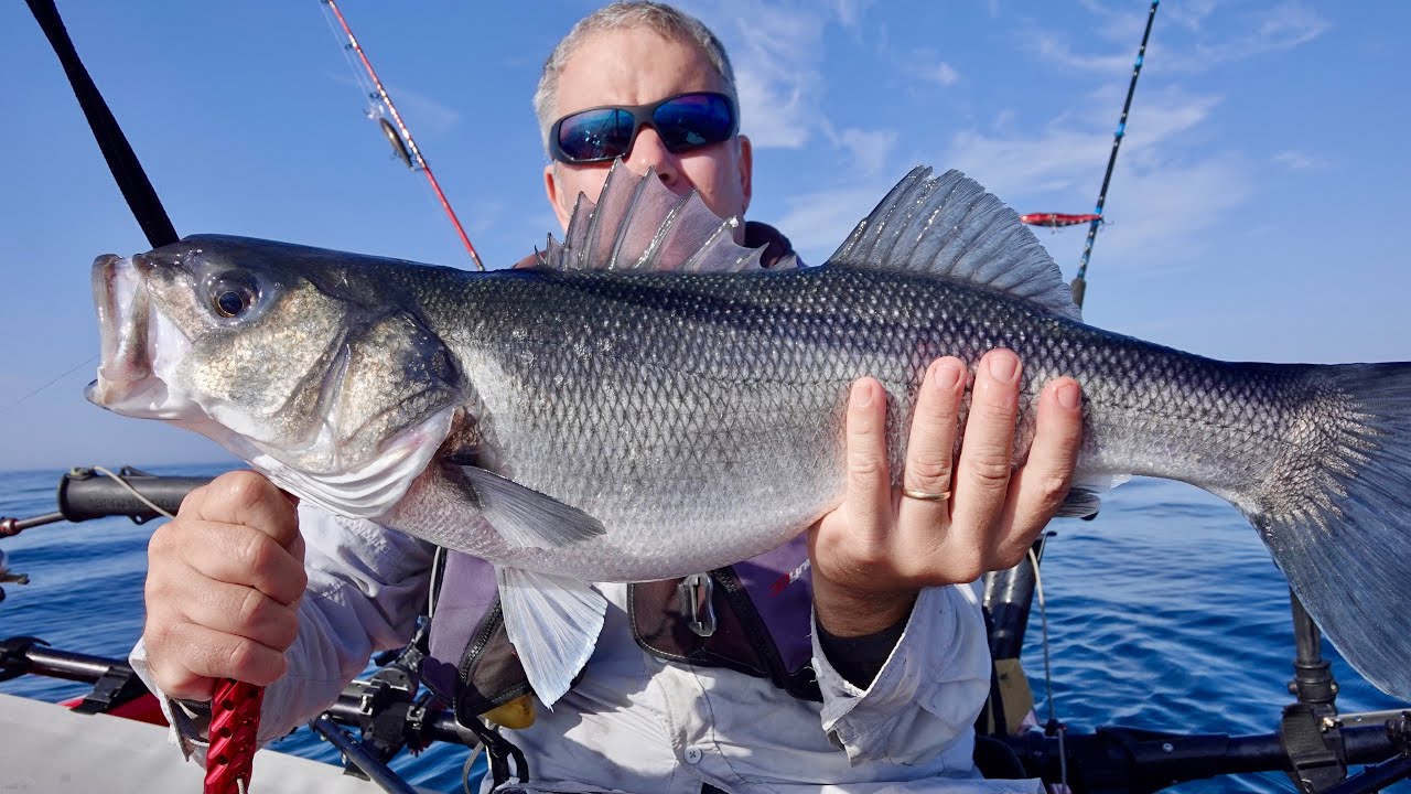 Fishing journey from sunrise until middle of night - Sea Bass, Bonito, False Albacora, Salema, Squid