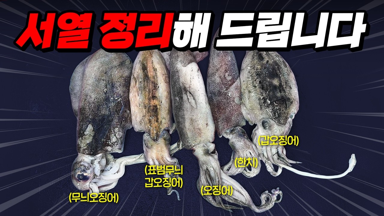 두족류 중 제일 맛있는 건? 1등이 이거라고?!
