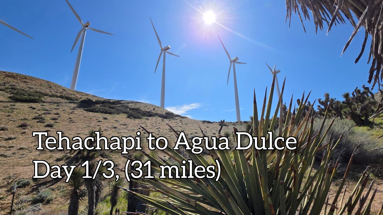 PCT Section E Spring Sobo, 1/3 (3/6/2026)