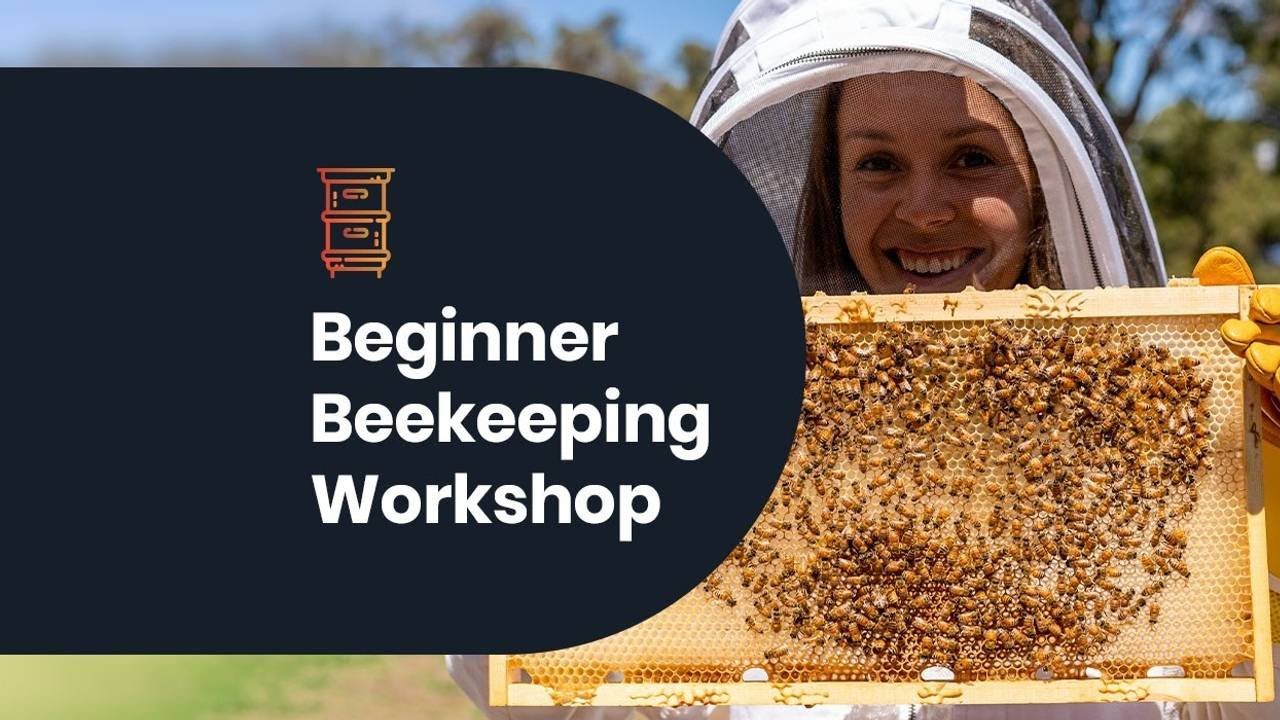 7 Surprising Benefits to Beekeeping