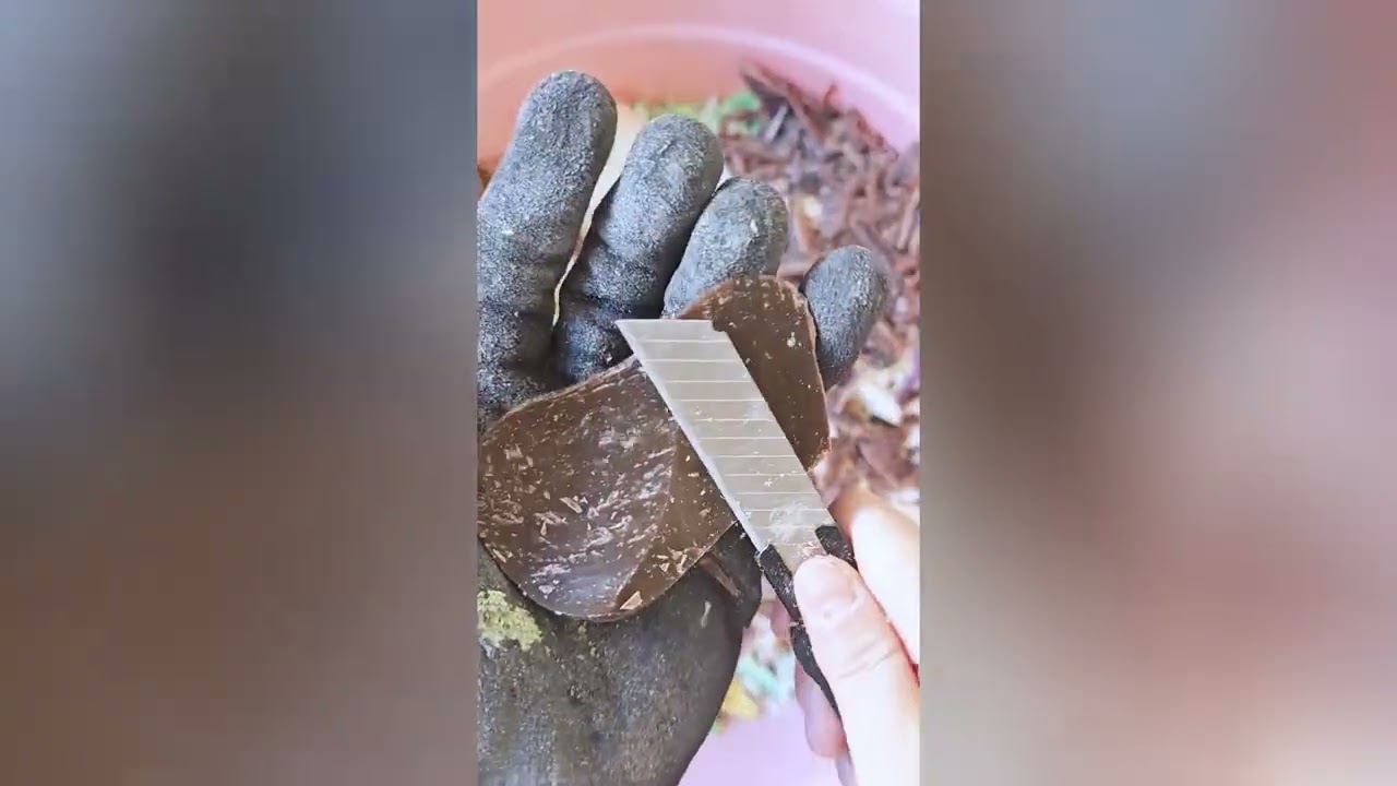 A video to help you relax