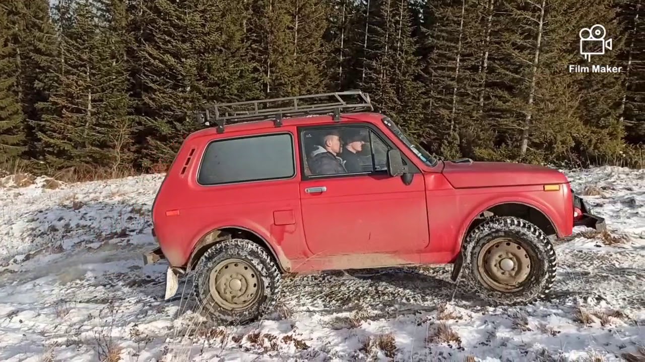 Ниви в Карпатах 💥