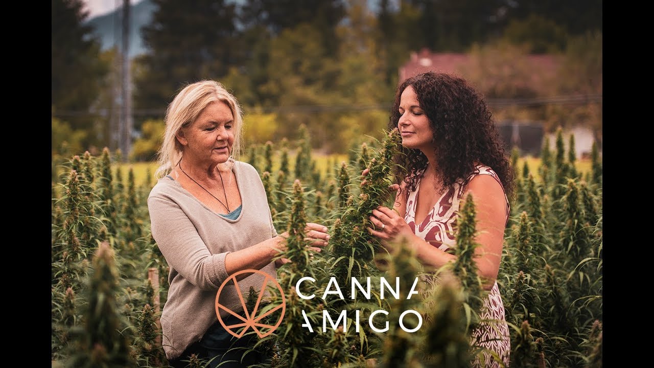 Cannabis Vision Mission - Cannamigo