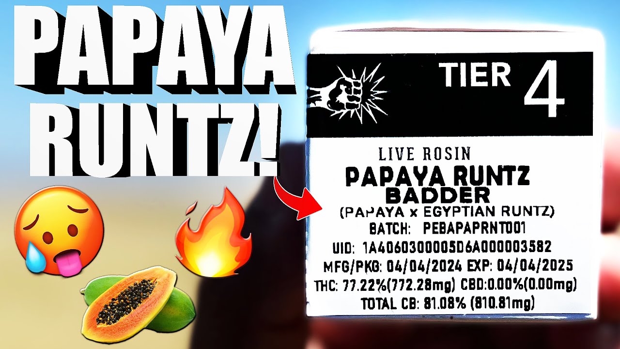 This PAPYA RUNTZ was SUPER TERPY! | Punch Extracts Tier 4 Live Rosin!