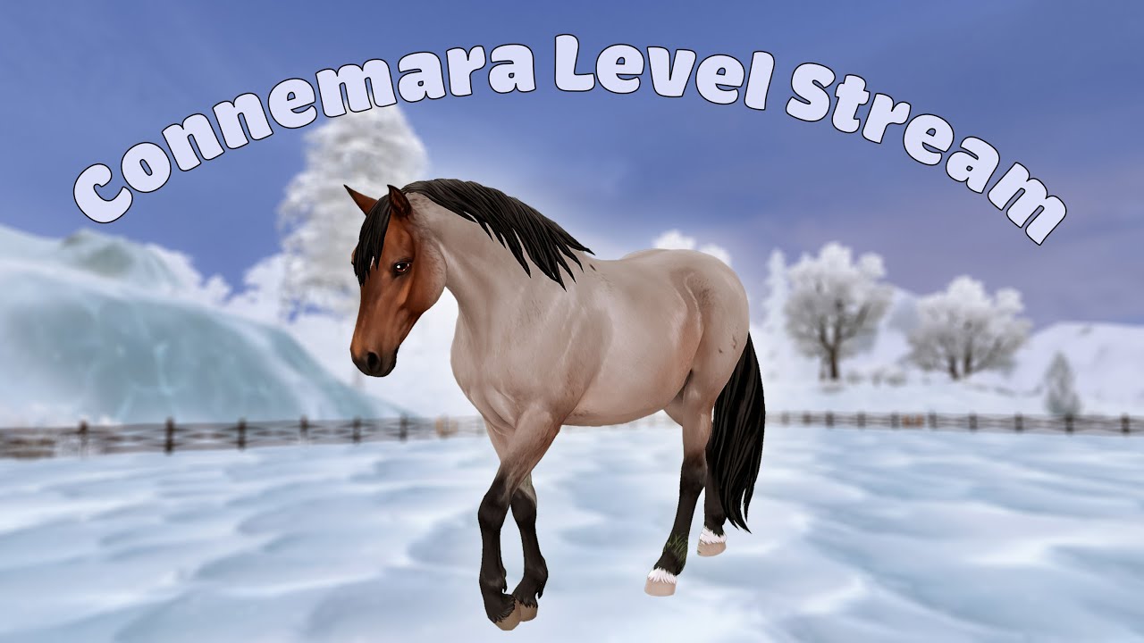 Die NEUEN Connemara Ponys sind da und wir Leveln sie gemeinsam! - Star Stable Online