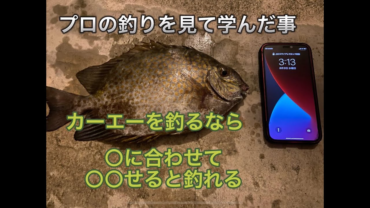 プロの釣りを見て学んだこと