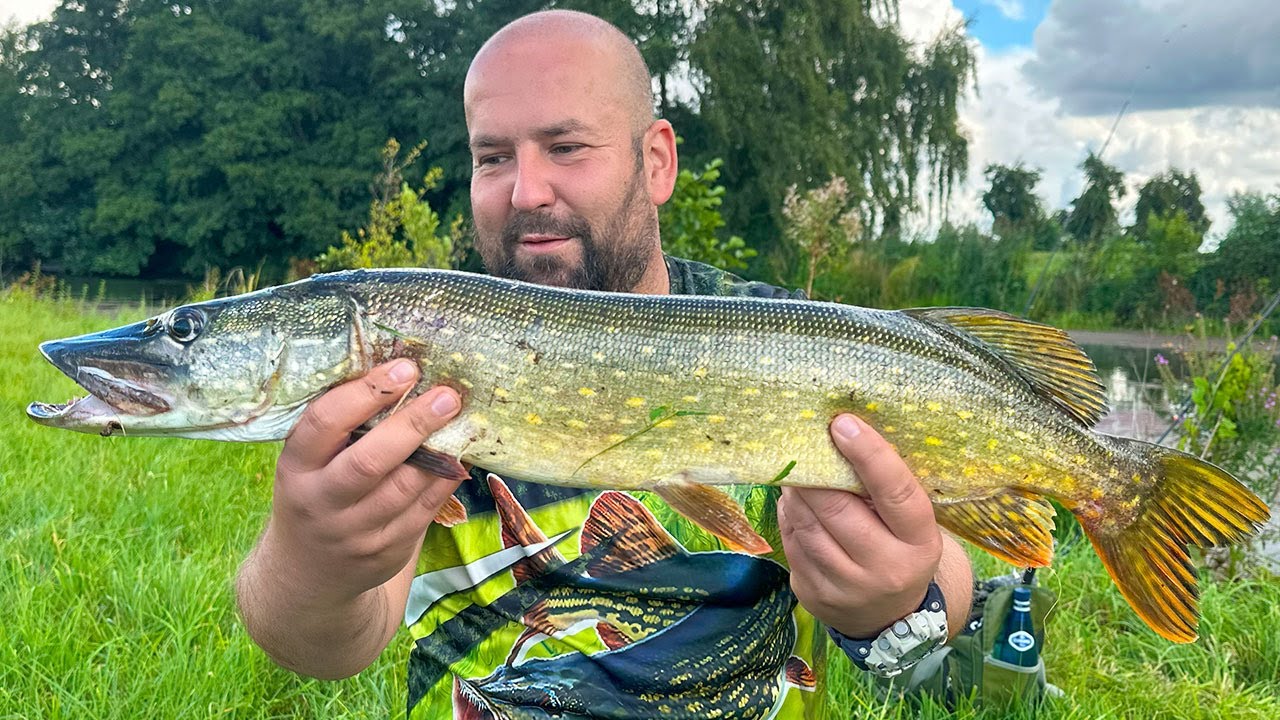 Łowimy, smażymy, zjadamy! 🔥 Szczupaki 🎣 Hamburg, Niemcy 2025 | Odc. 2 z 3