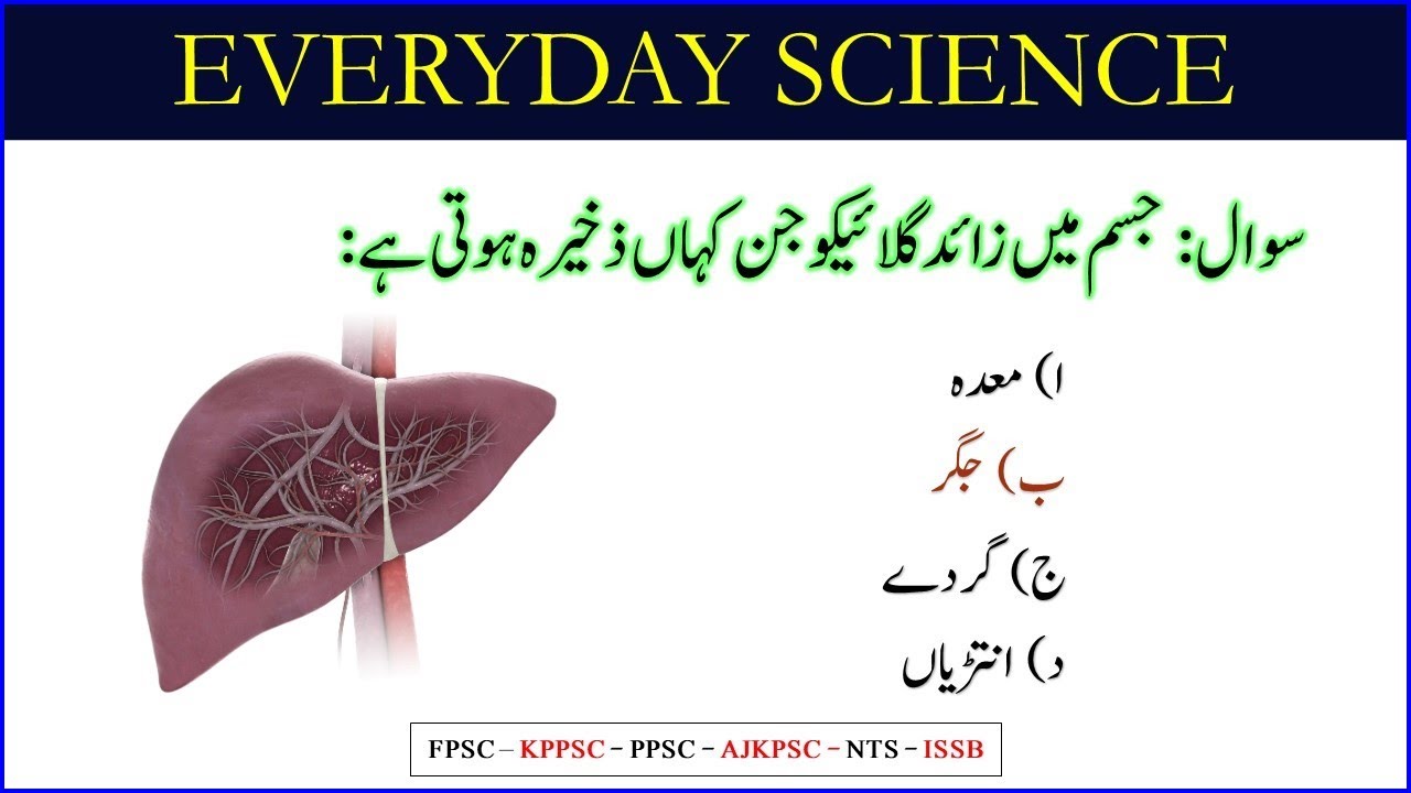 Everyday Science Mcqs from Past Papers in Urdu | General Science Mcqs |Everday Science Mcqs in hindi