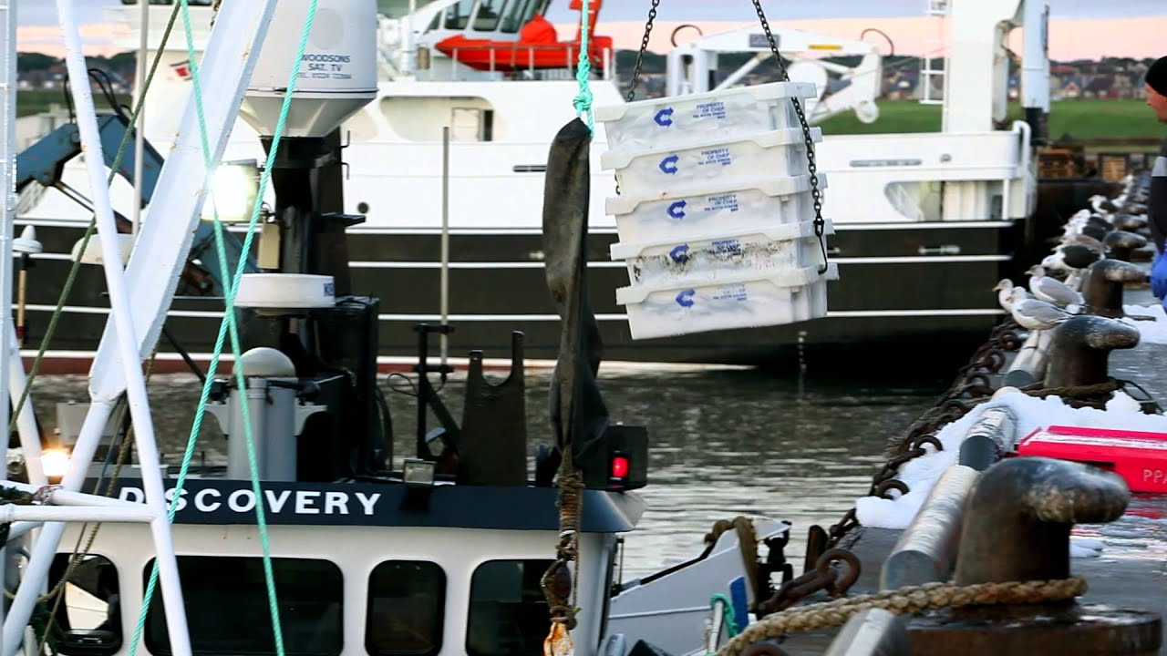 Seafood from Scotland - Whitefish Industry