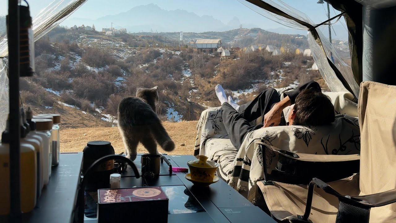 I Took My Cat Camping at -16°C ❄️🐱 | Extreme Cold Wilderness
