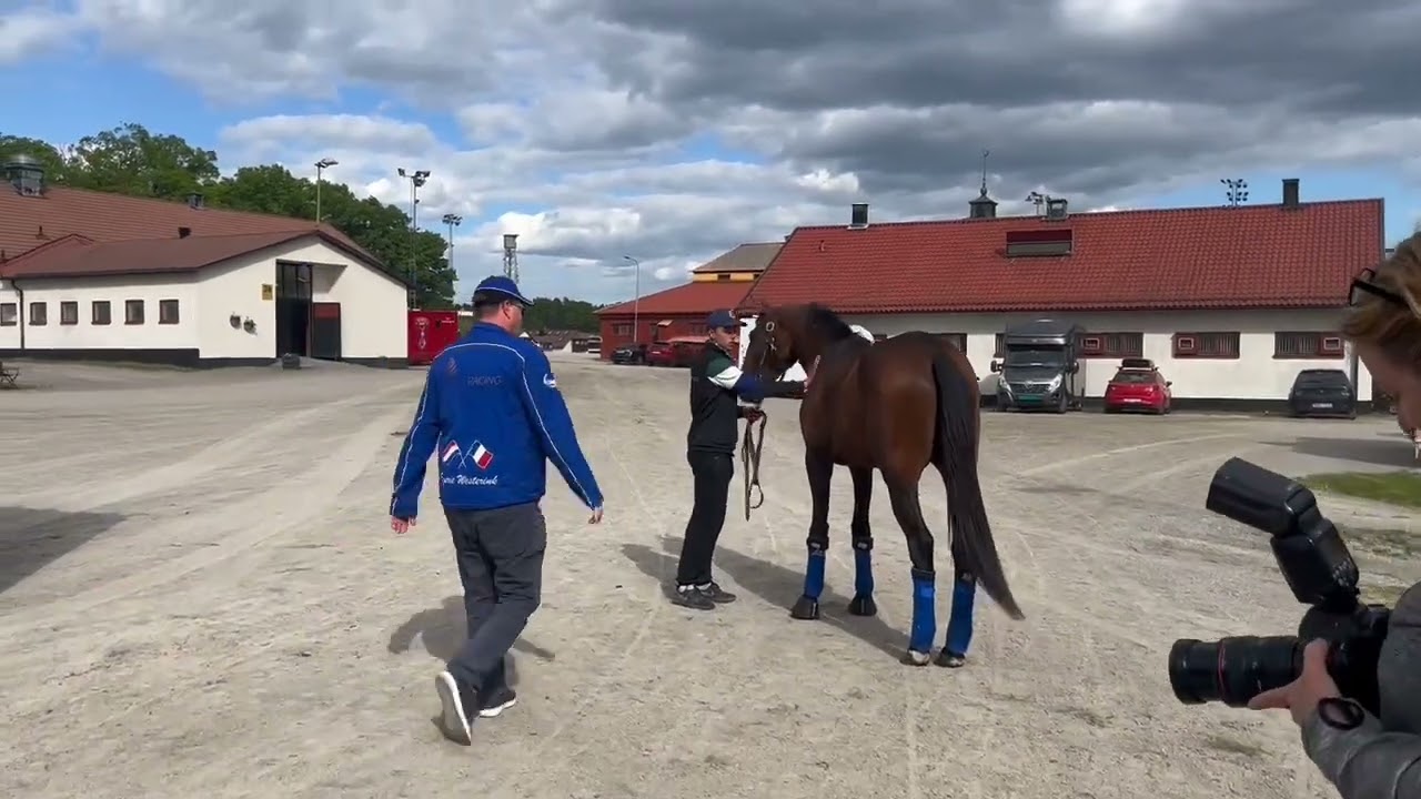 Etonnant anl&auml;nder till Solvalla
