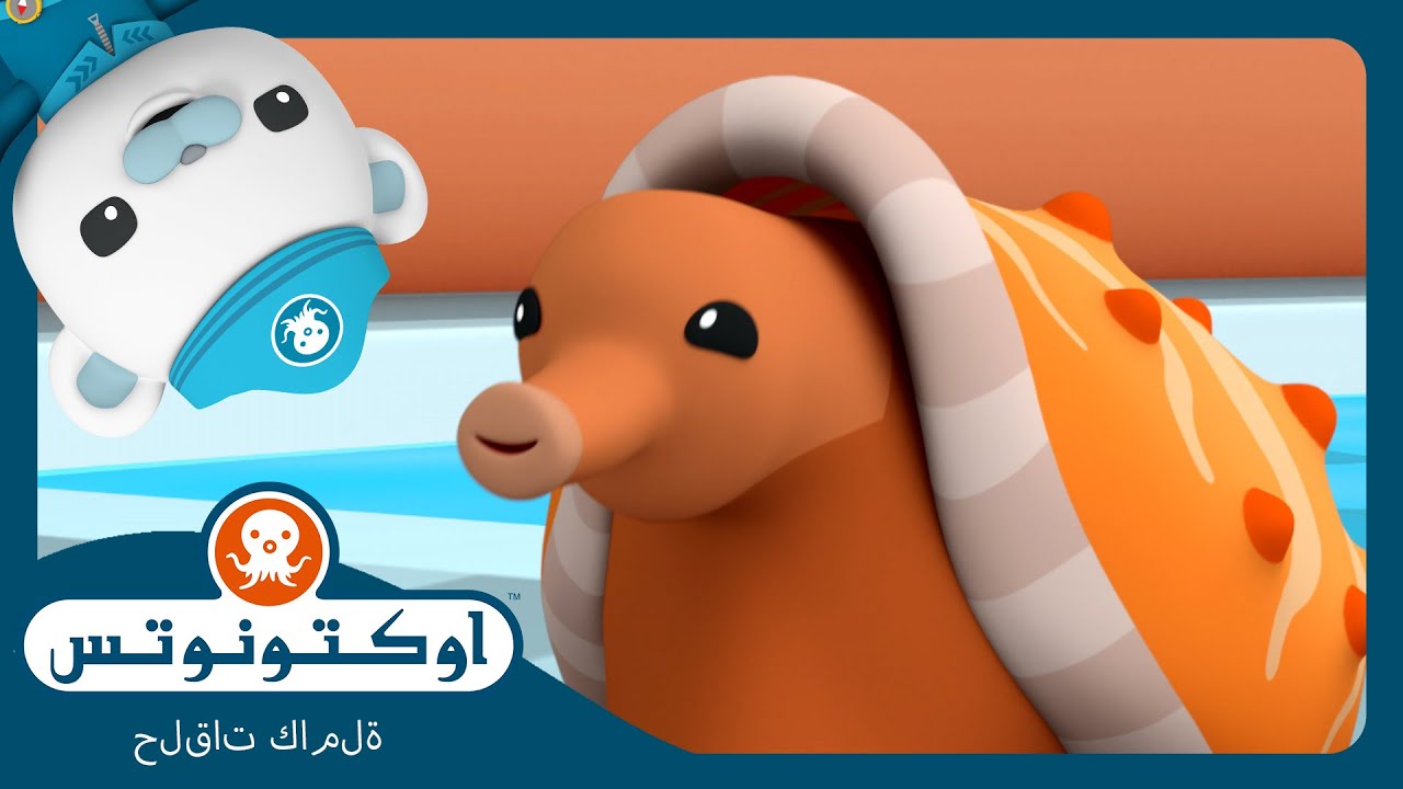 أوكتونوتس | 😱 الحلزون المخروطي السام 🐌 | السلسلة 3 | الحلقة 3