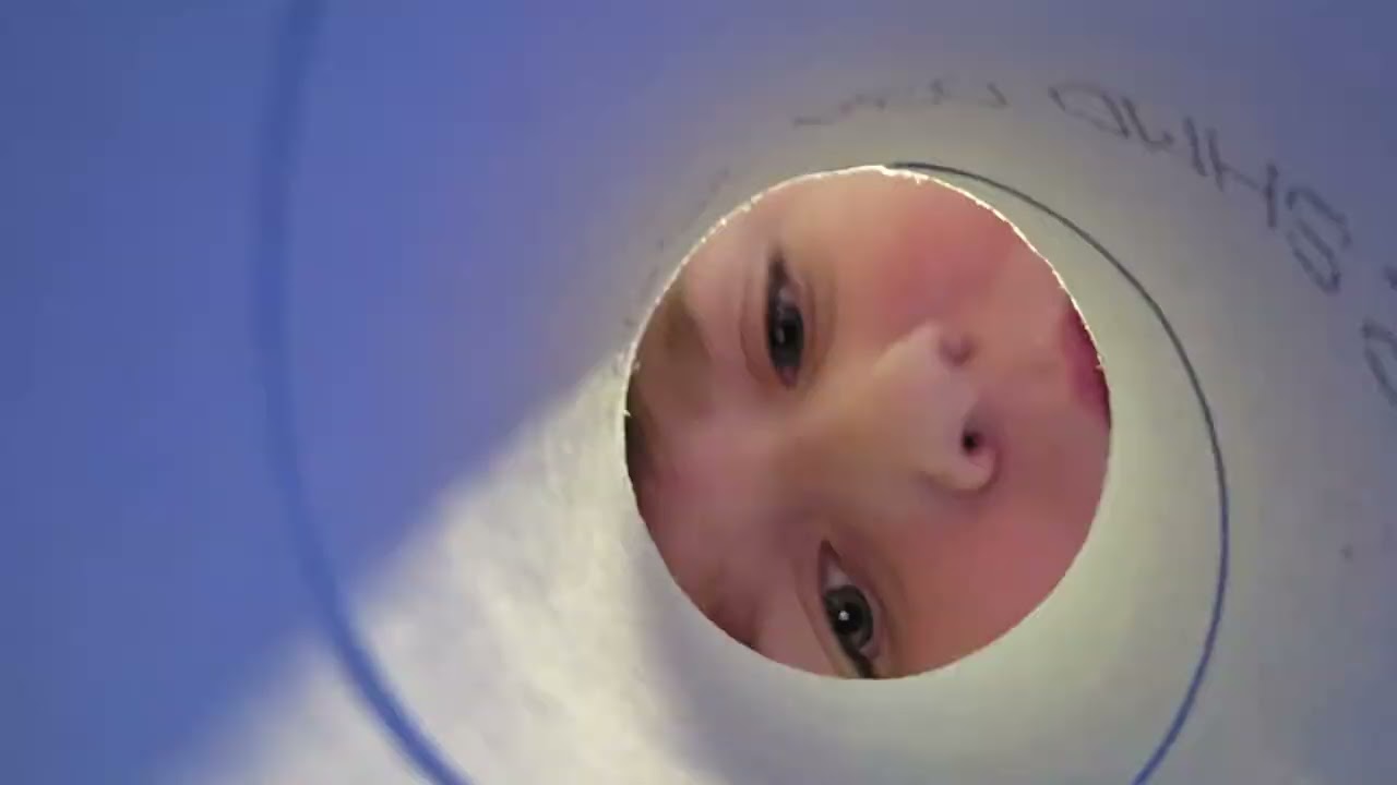 pov: the last pringle!