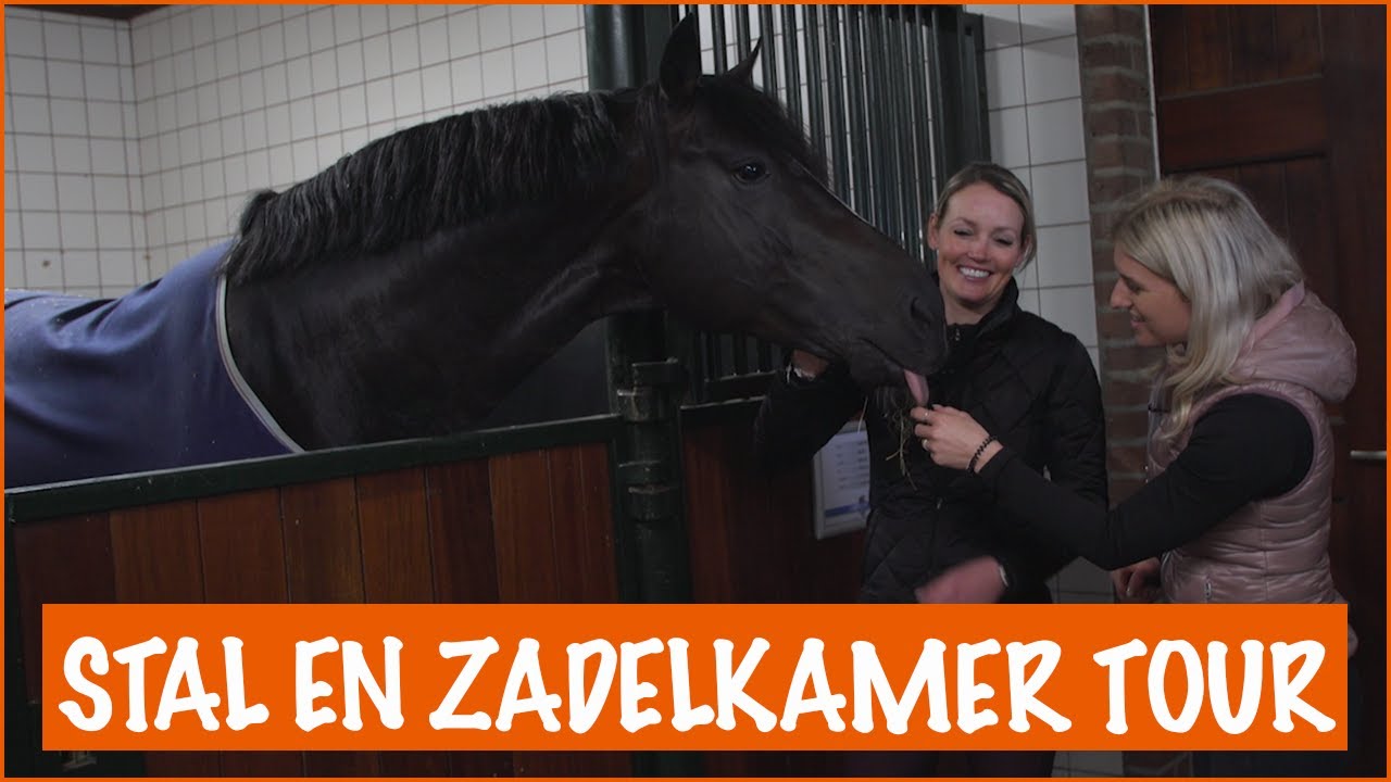 De toppaarden van Renate | PaardenpraatTV