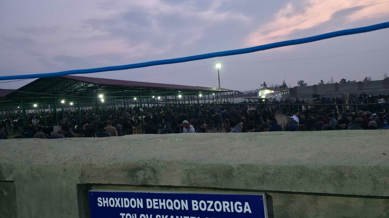NAMANGAN ⛳️SHOXIDIN BOZORI👍 DANGAL SAVDO в прямом эфире!