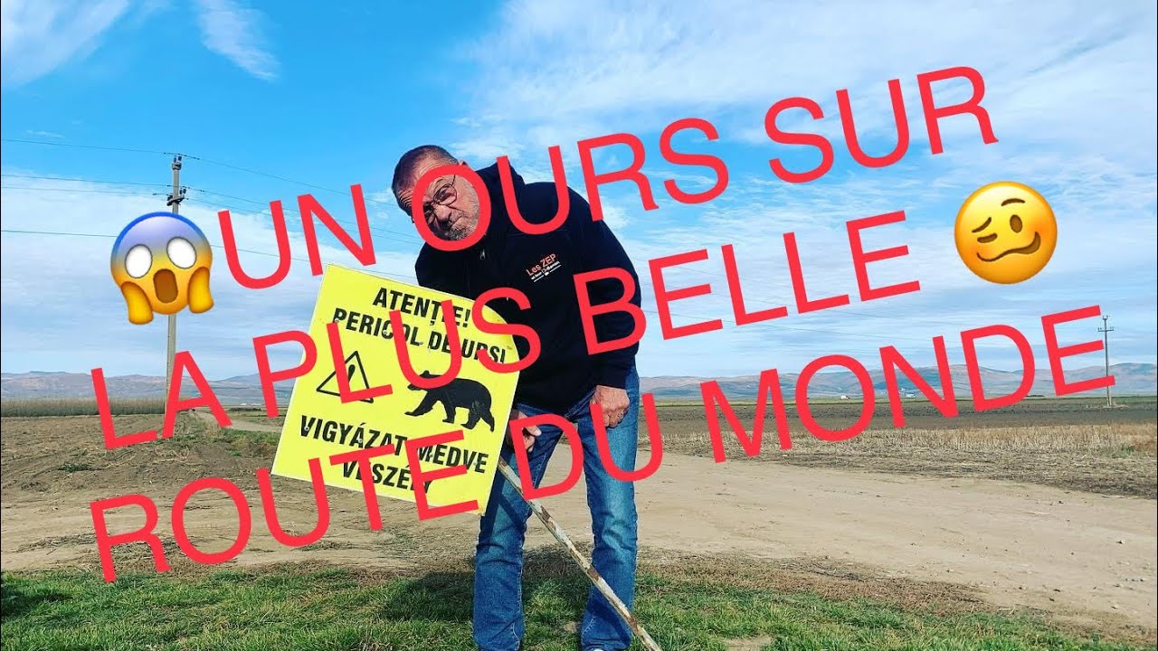 Il y a t il des Ours sauvages en Roumanie  ? Plus Belle Route du Monde?!