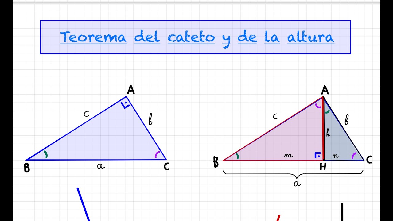 Teorema del cateto y de la altura