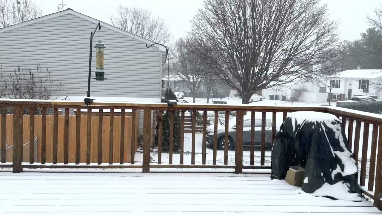 Falling Snow: 4K HDR Timelapse | Snowstorm Izzy [1-16-2022]