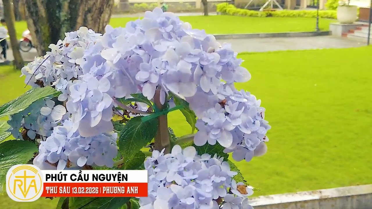 Phút Cầu Nguyện, Thứ Sáu 13/02/2026: Người làm mọi điều tốt lành