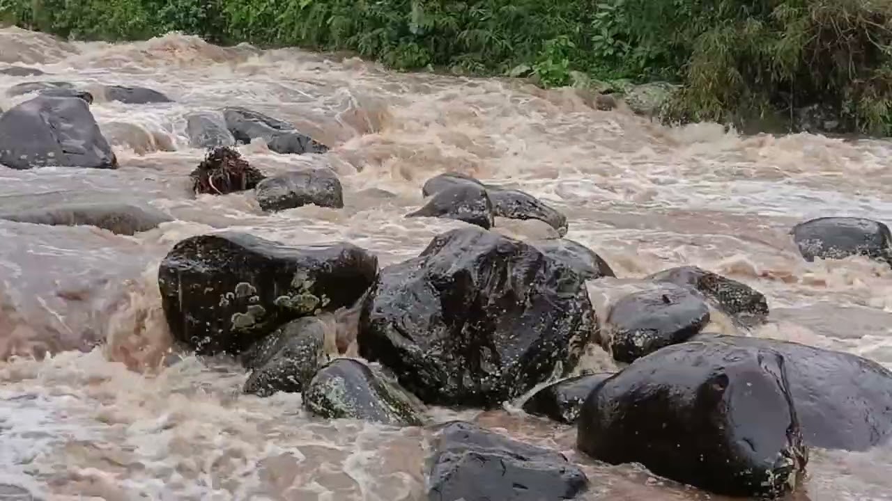 Mountain River In Rainstorm  | Relaxing Natural Rain & Flowing Water Sounds