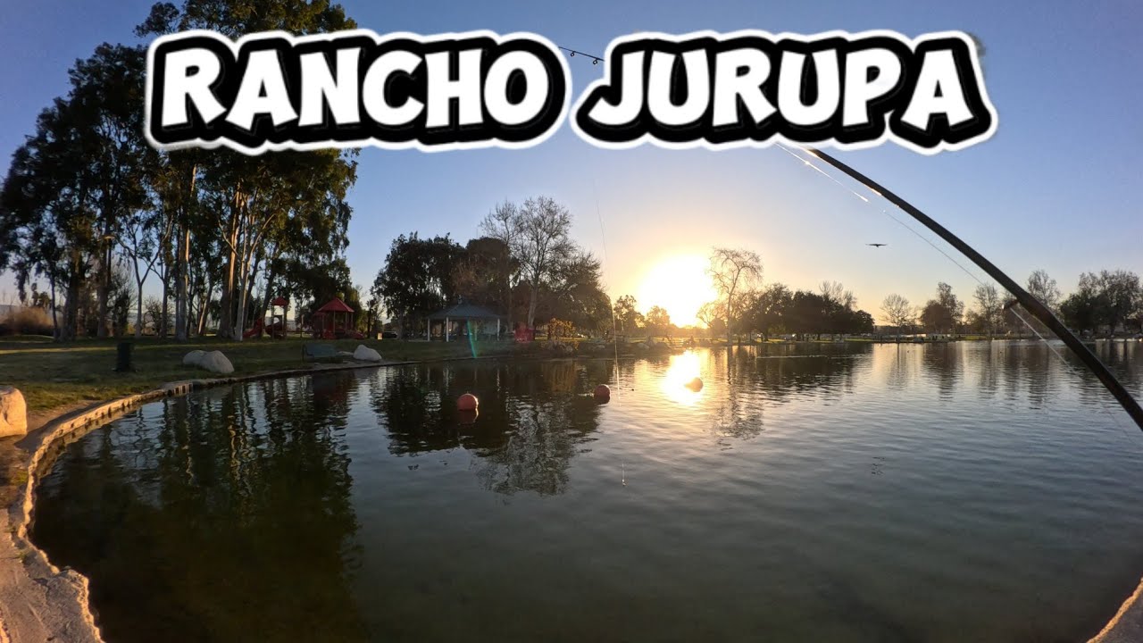 Back to Rancho Jurupa the NEXT DAY (They Were Biting!) 🎣 Trout Fishing with Multiple Techniques