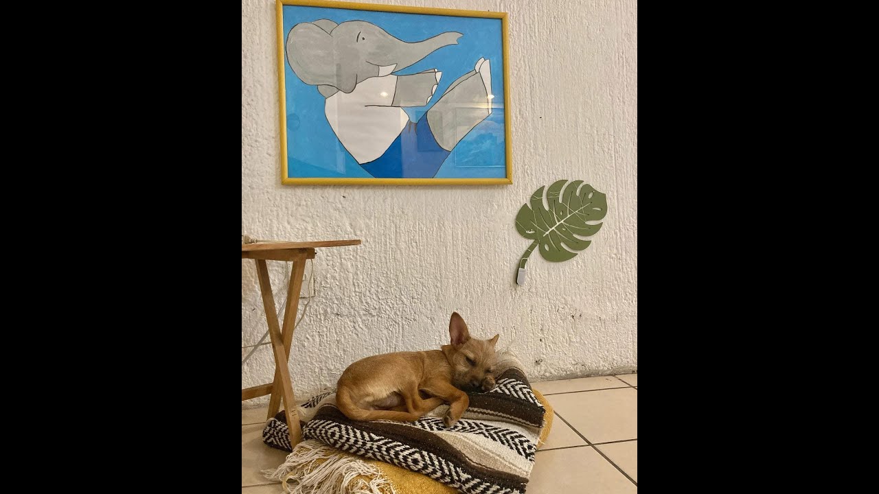 TERAPEUTICO LUNES 2 DE FEBRERO