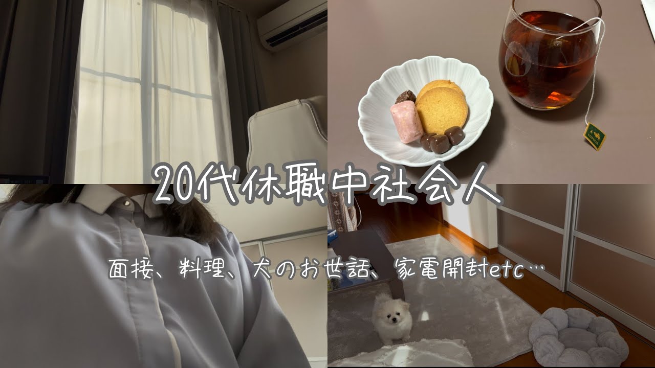 犬と二人暮らしスタート