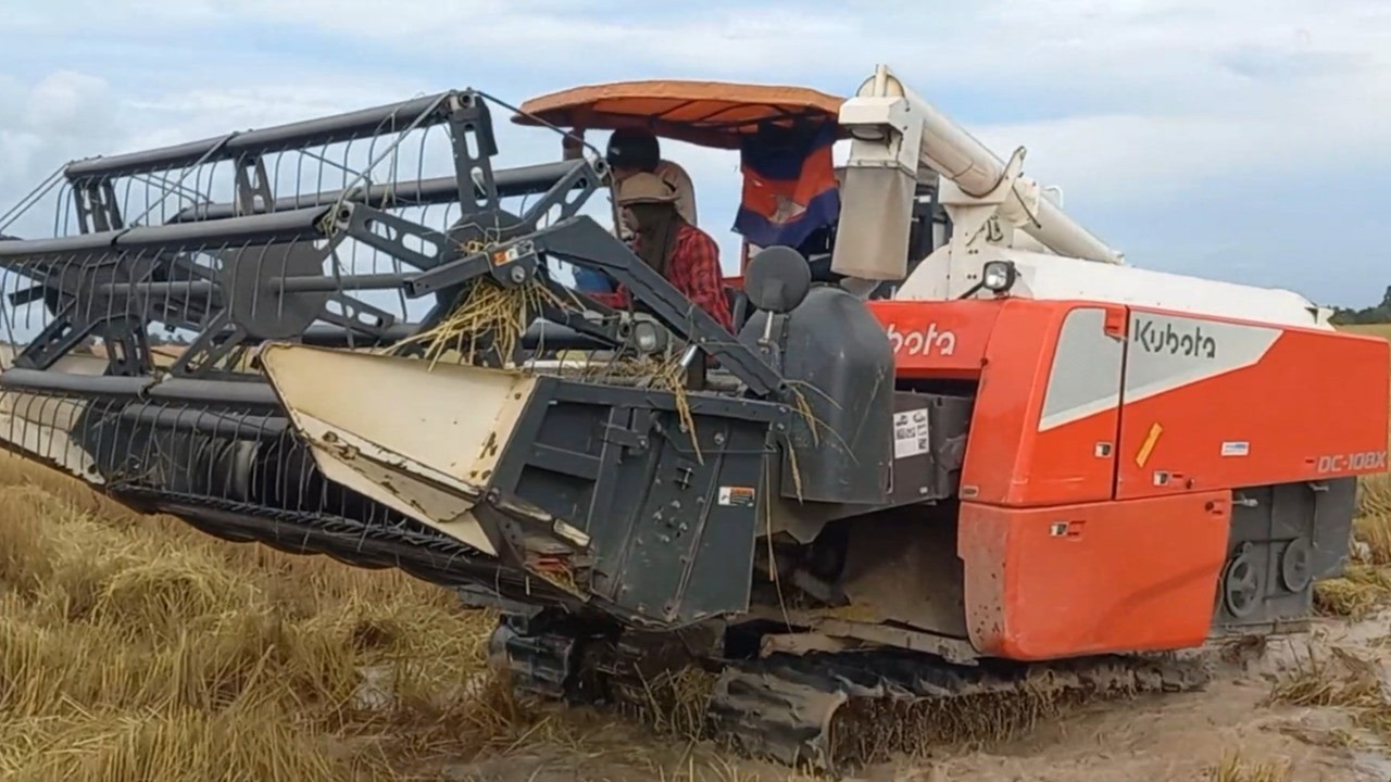 Machine Kubota DC108X Combine Harvesting Rice, Cambodia Rice Cutting In Field, Kubota Harvest