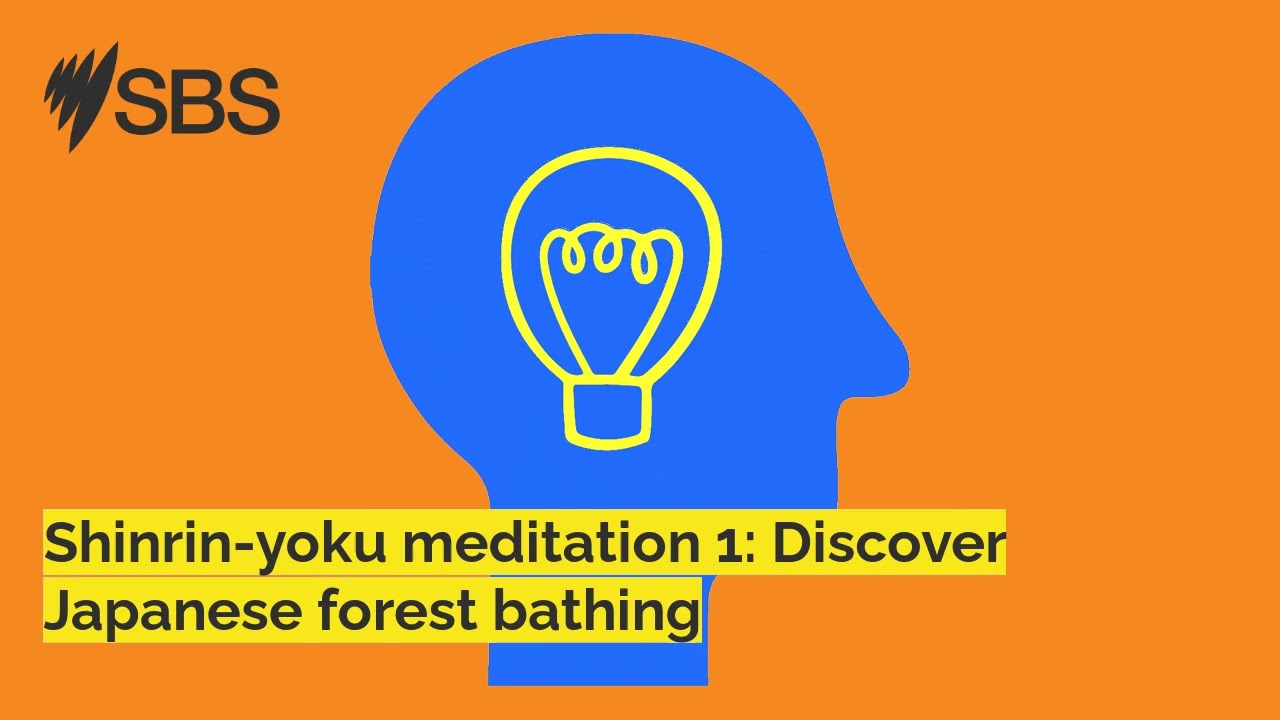 Shinrin-yoku meditation 1: Discover Japanese forest bathing | Great Minds | Podcast