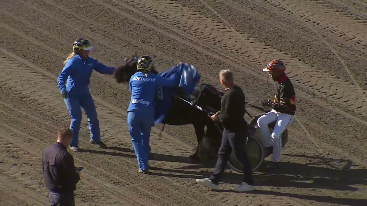 Åbytravet 240928 - Ponny SM 2024