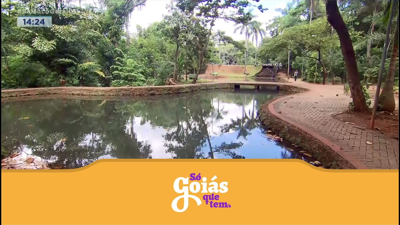 SÓ GOIÁS QUE TEM: PARQUES DE GOIÂNIA MELHORAM CENÁRIO DA CIDADE E TORNAM AMBIENTE MAIS ATRATIVO